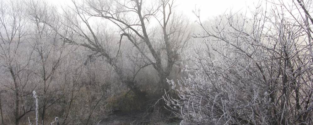 
            Фотография Студенца