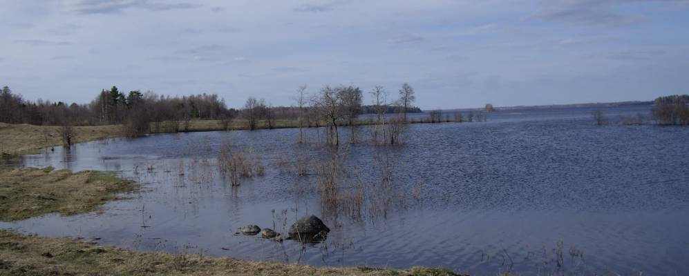 Фотография Палутино