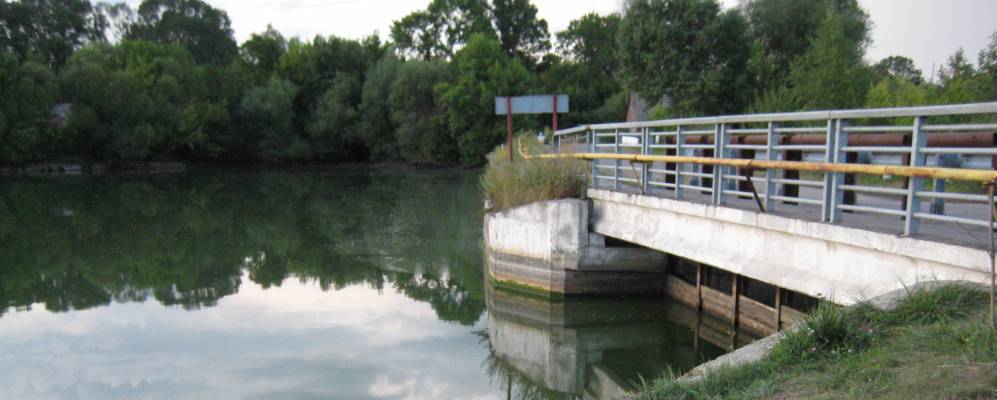 
            Фотография Кривошеи