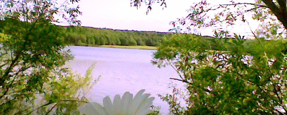 
            Фотография Пайгармы