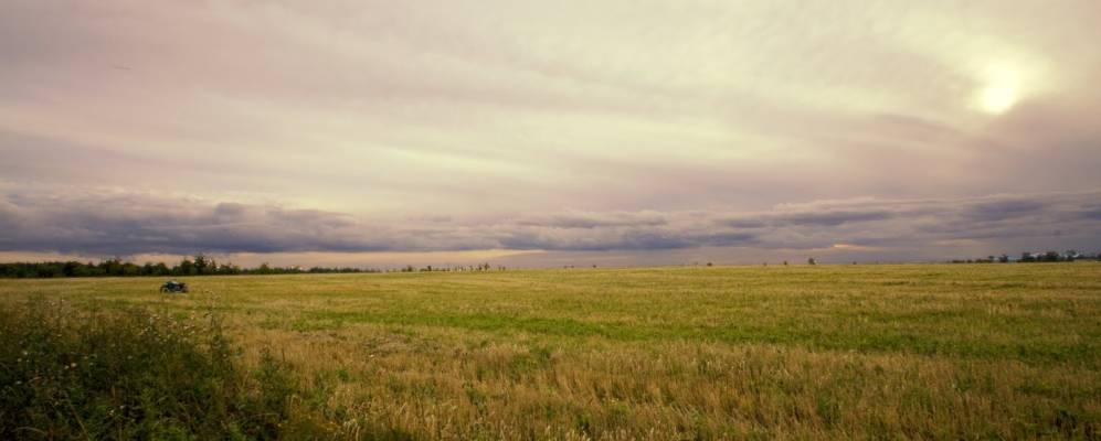 
            Фотография Новой