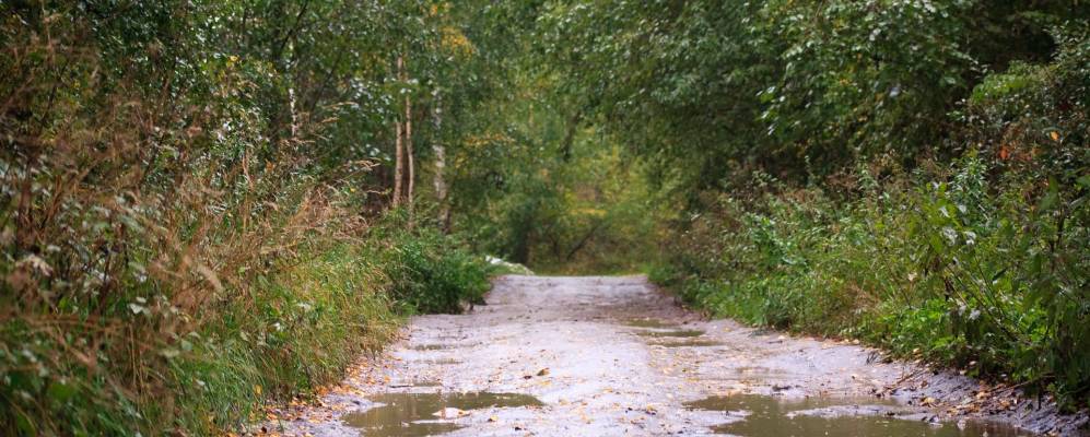 
            Фотография Малого Займища