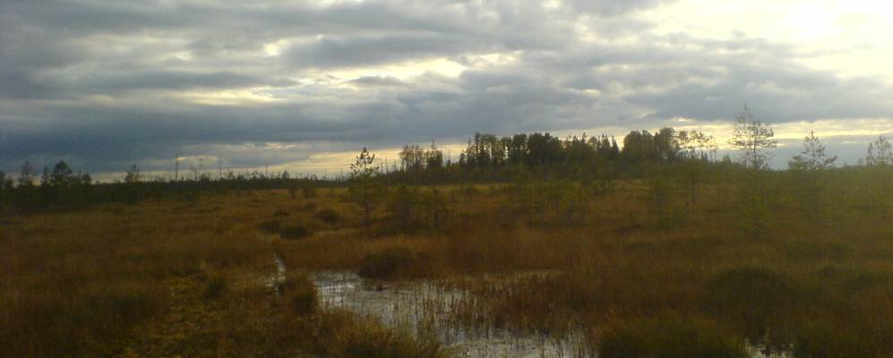 
            Фотография Приволья