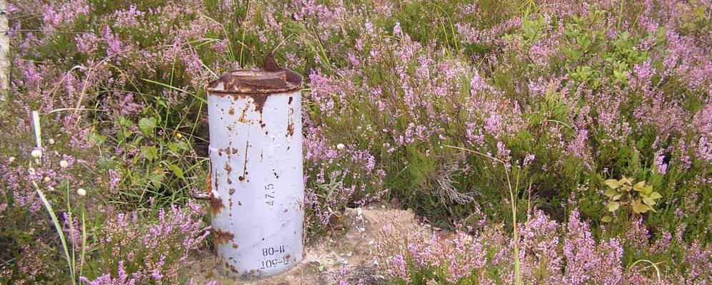 
            Фотография Плещевки
