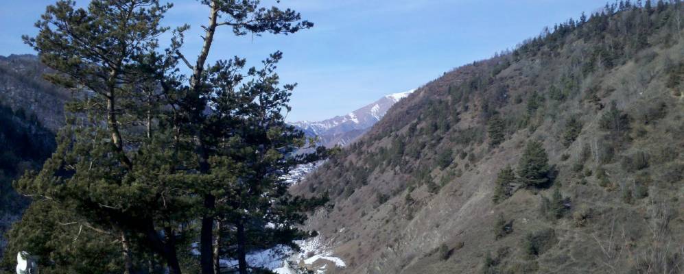 
            Фотография Нахады