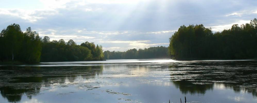 
            Фотография Манино