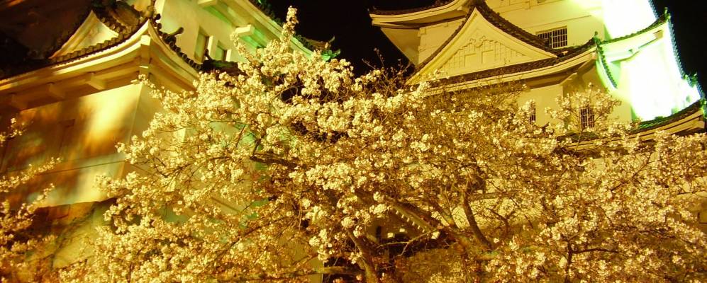 
            Фотография Иги