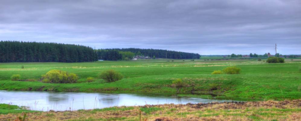 Фотография Никульского