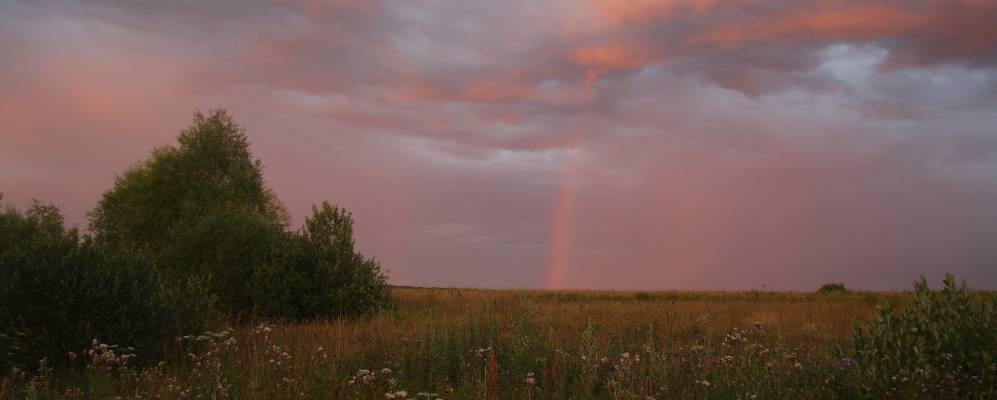 
            Фотография Конюшино