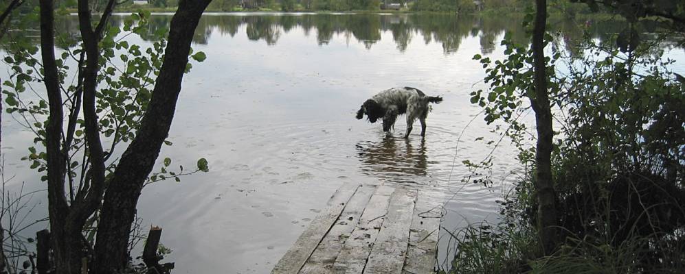 Фотография Малого Таланкино