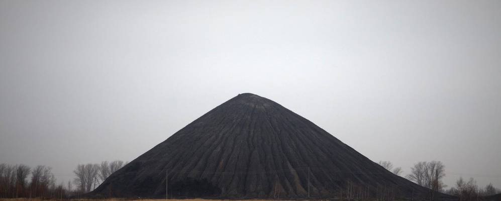 
            Фотография Вязовки