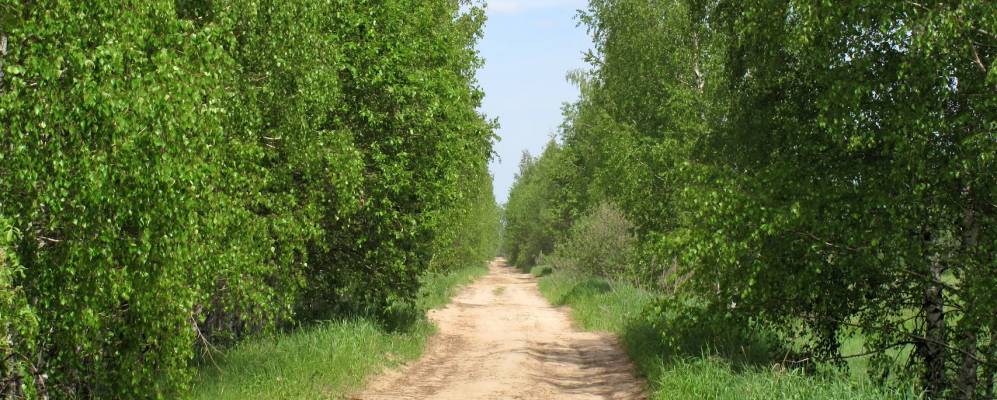 Фотография Крыловки