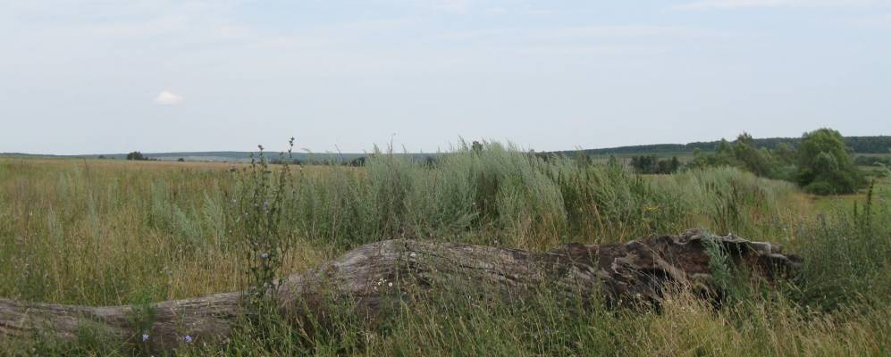 
            Фотография Новых Выселок