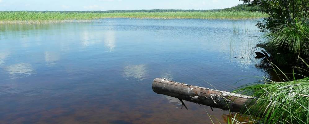 
            Фотография Федоровской