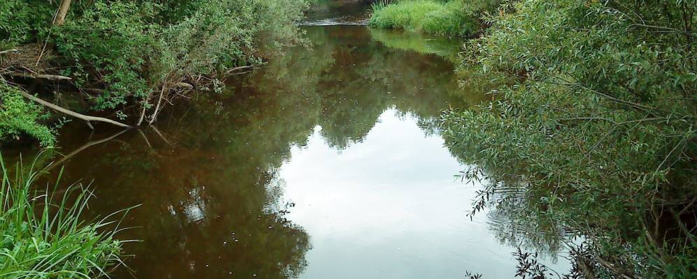 
            Фотография деревни Жуки