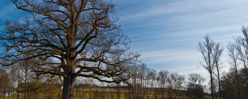 
            Фотография Арезинга