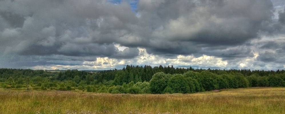 
            Фотография Воронкино