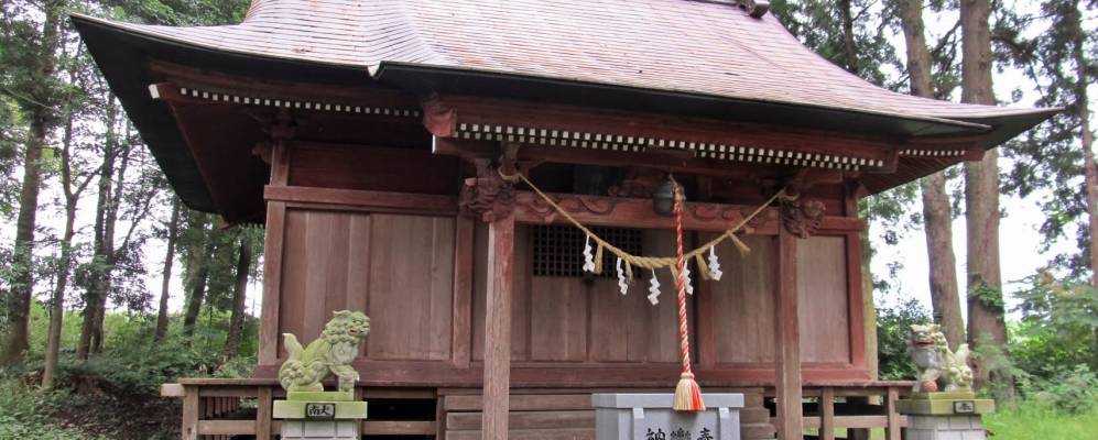 
            Фотография Дзао