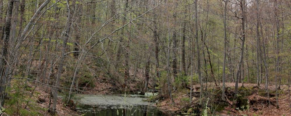 
            Фотография Жаркова