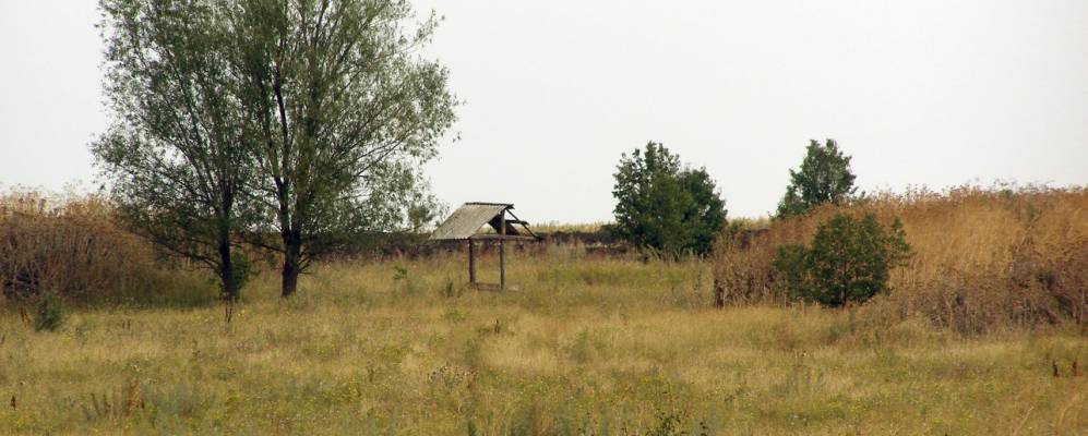 
            Фотография Точилово