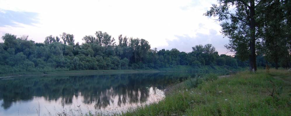 Фотография Петровского