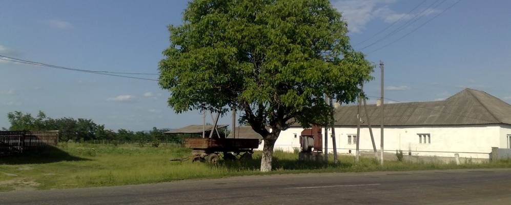 
            Фотография Ботара