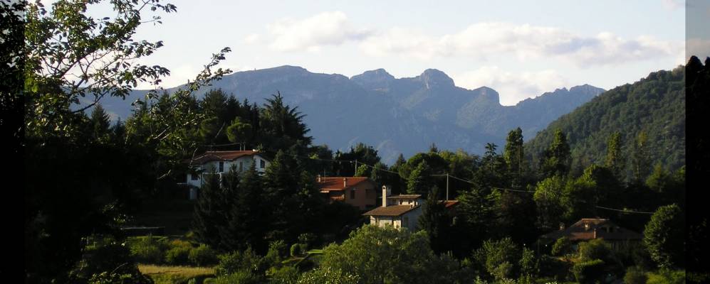 
            Фотография Перего