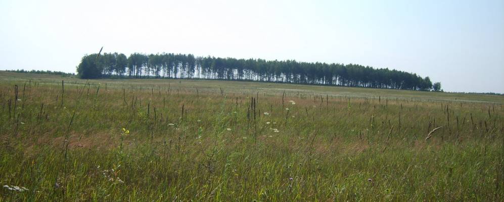 
            Фотография Покровского