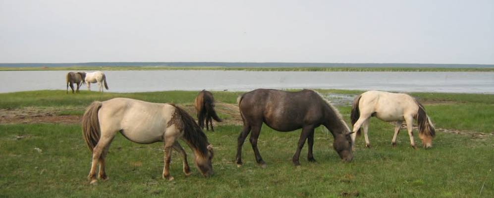 
            Фотография Томтора