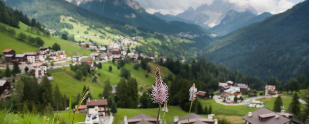 
            Фотография Каприле