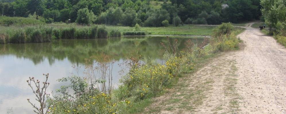 
            Фотография Семено-Карповки