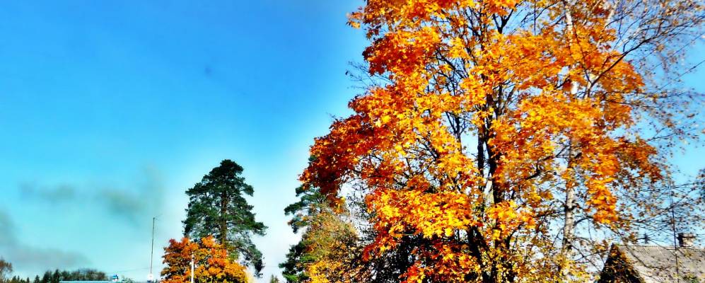 
            Фотография поселка Каложицы