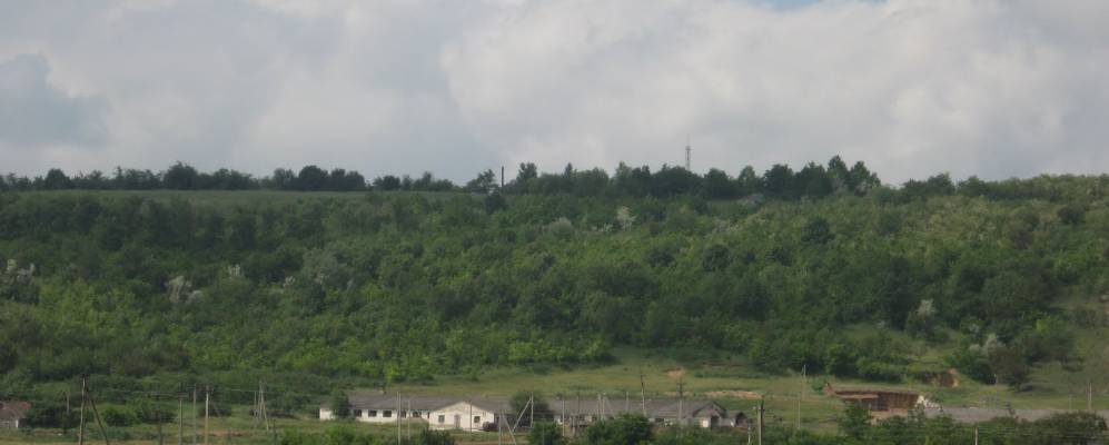 
            Фотография Новопетровки