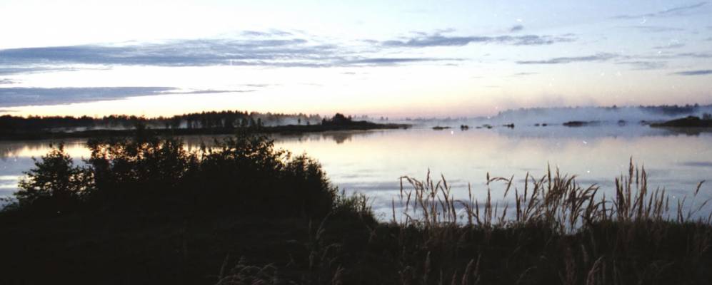 
            Фотография Пятого Участка Тейковского Торфопредприятия