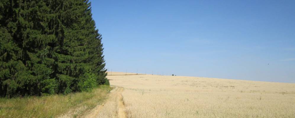 
            Фотография Непременной Лудзи