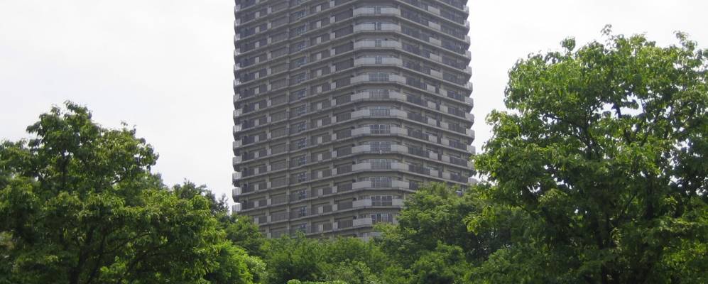 
            Фотография Окегавы