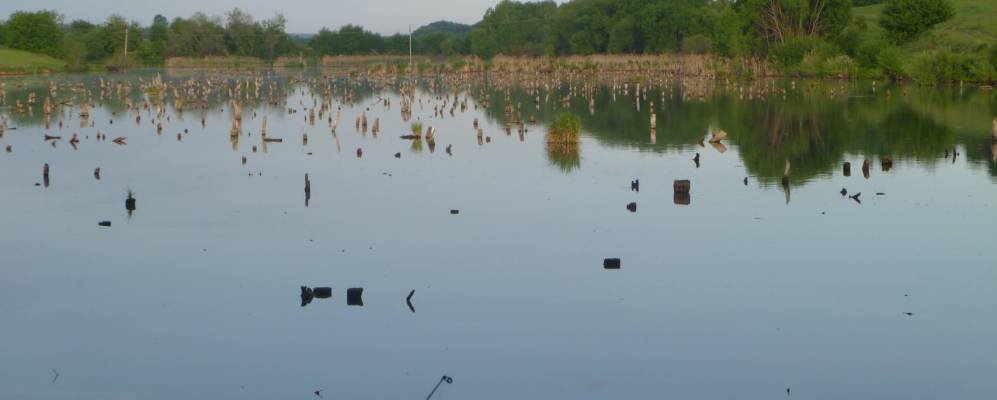 Фотография Теплого