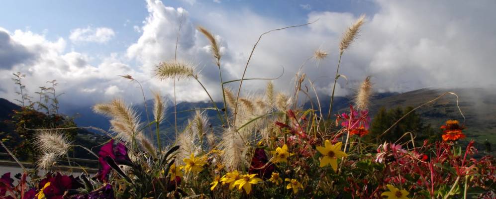 
            Фотография Пейси-Нанкруа