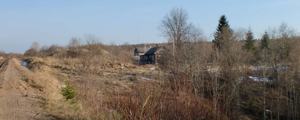 Фотография Сбологи