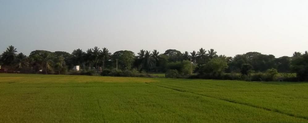 
            Фотография Тейдполлегудема