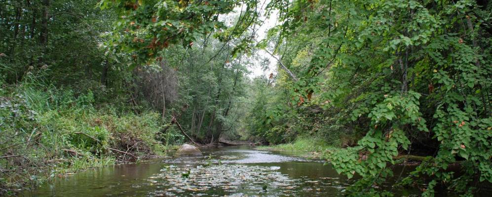 Фотография Гончарово -2