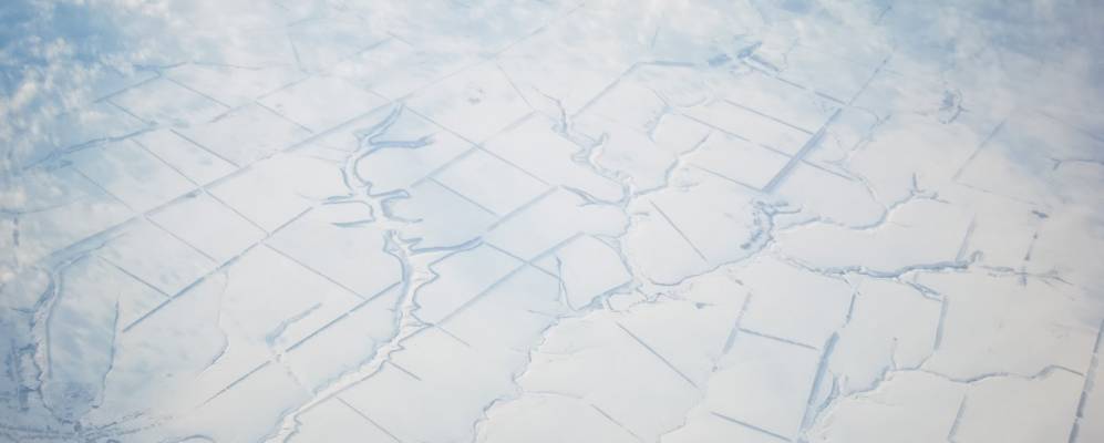 
            Фотография Новоляпичева