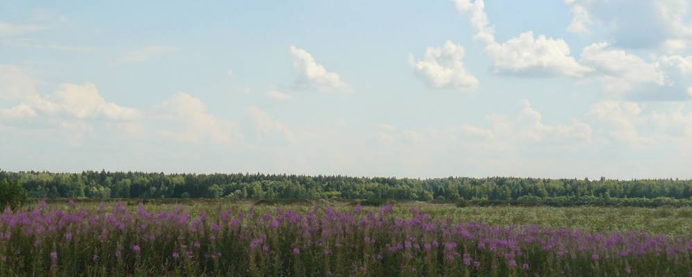 
            Фотография Марютино