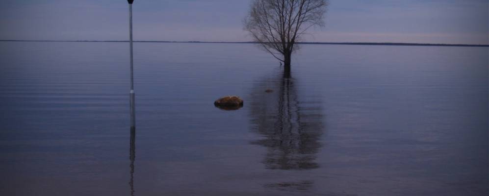 
            Фотография Буртниеки