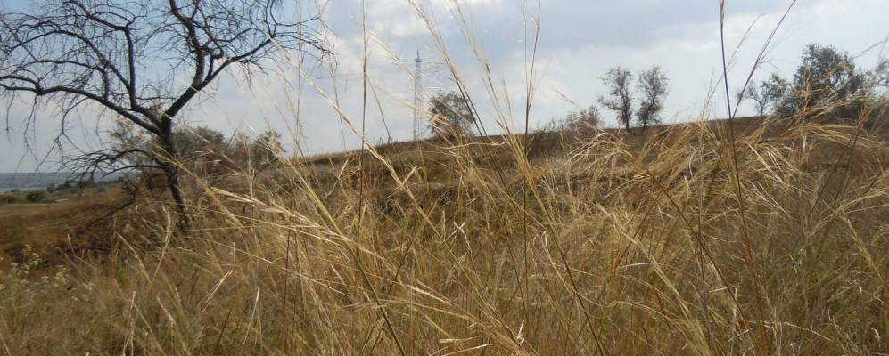 
            Фотография Богнатово