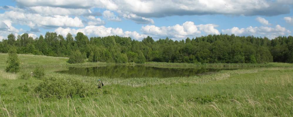 
            Фотография Сухонивочки