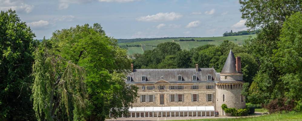 
            Фотография Дормана