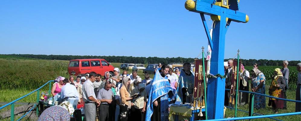 
            Фотография Кривца