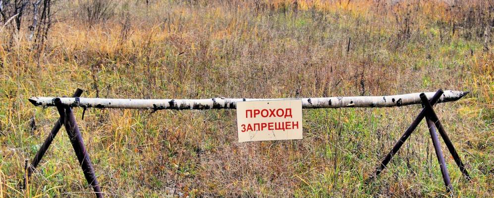 
            Фотография Истоков