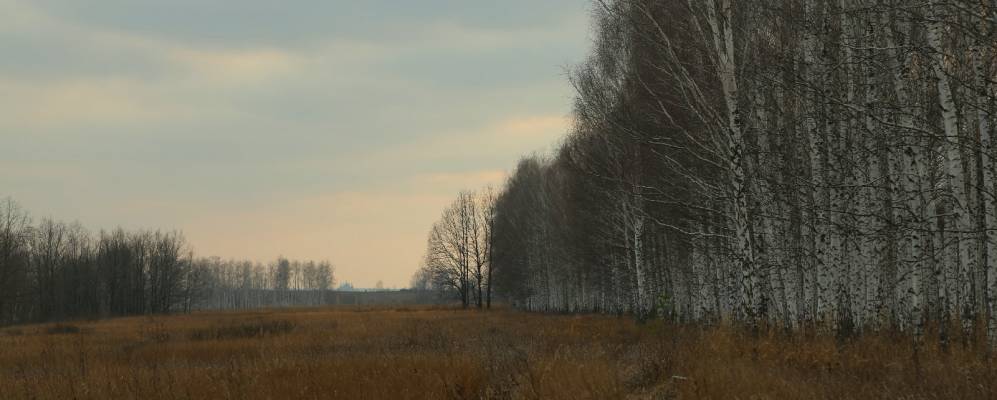 
            Фотография Смольного